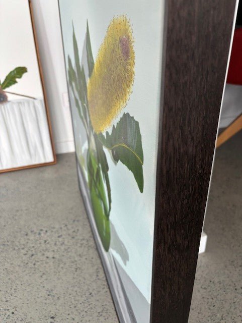 Banksia in green bowl - Gold Coast Gallery Of ArtSigrid Patterson