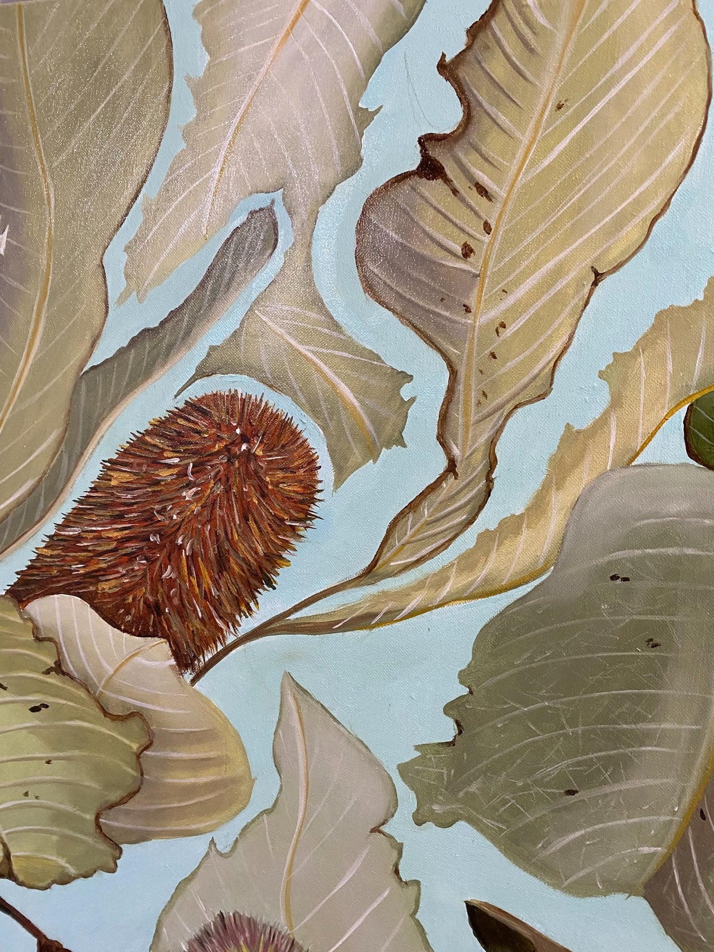 Banksia Robur - Gold Coast Gallery Of ArtWendy Peters