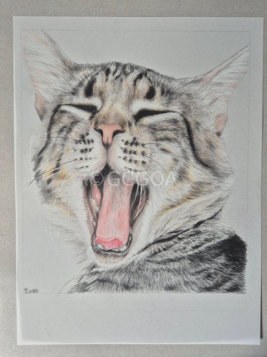 Biiig Yawn - Gold Coast Gallery Of ArtRenae Hall