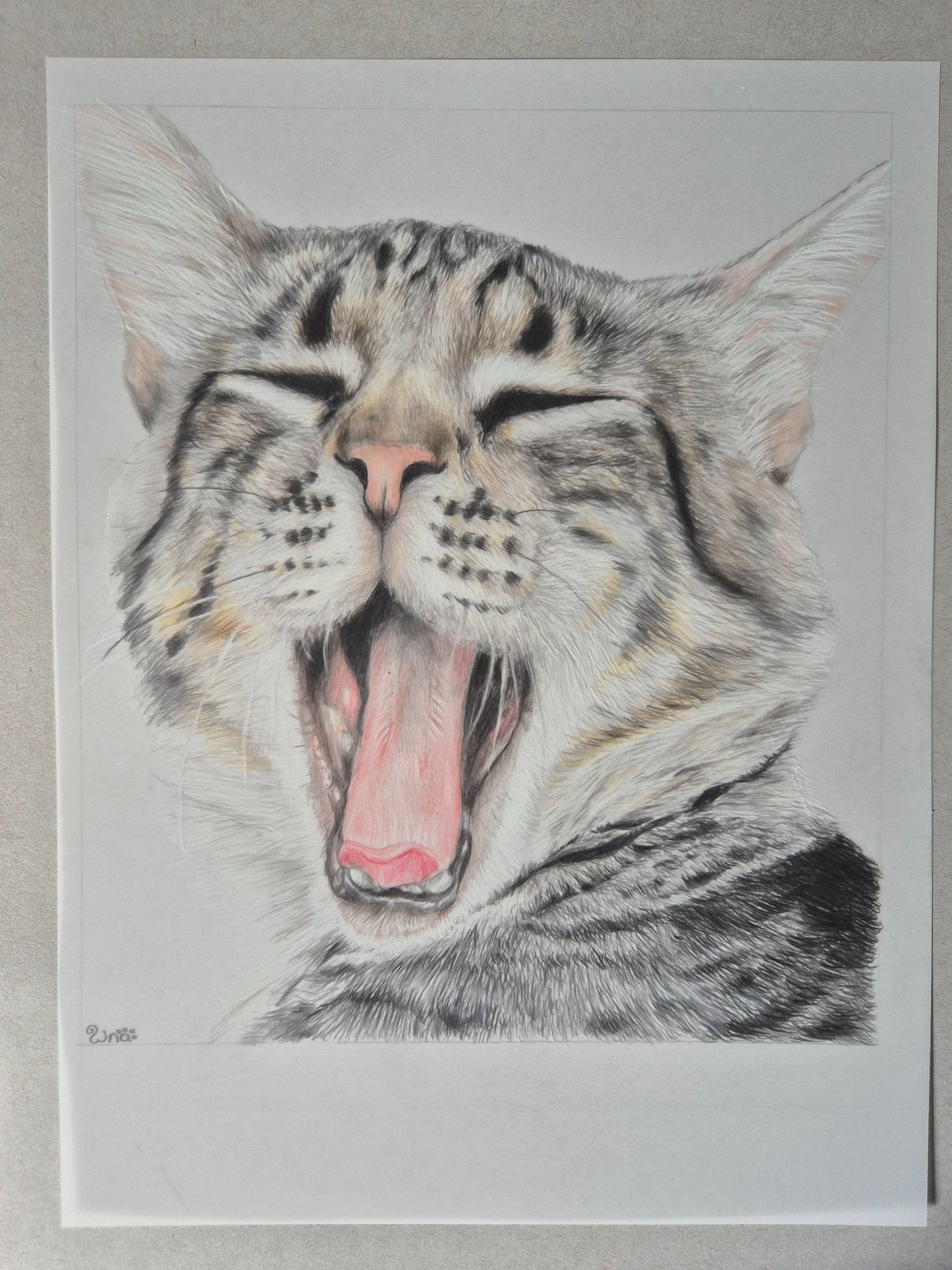 Biiig Yawn - Gold Coast Gallery Of ArtRenae Hall