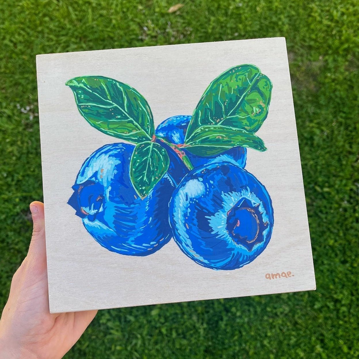 Blueberries - Original Art - Gold Coast Gallery Of ArtAyla Hawkey