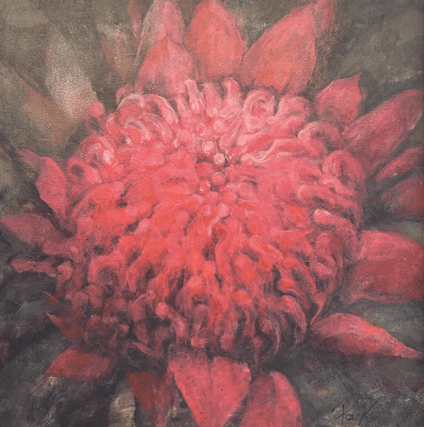 Blush in the Darkness - Waratah Dreaming - Original Art - Gold Coast Gallery Of ArtDeb Parker Artist