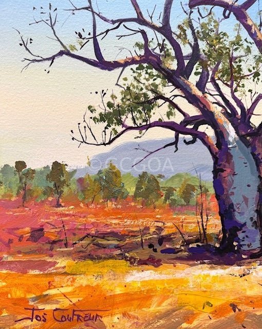 Boab Trees 49 - Original Art - Gold Coast Gallery Of ArtJos Coufreur