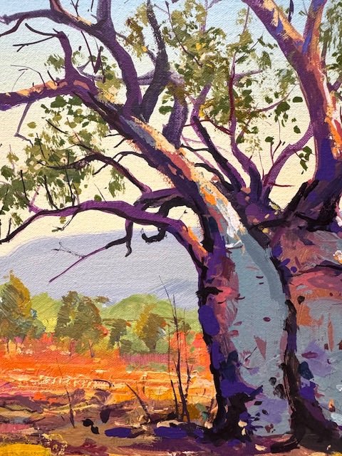 Boab Trees 49 - Original Art - Gold Coast Gallery Of ArtJos Coufreur