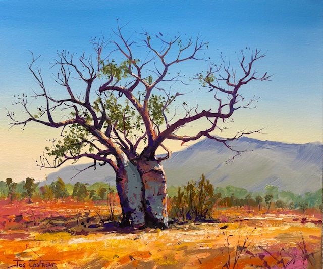 Boab Trees 49 - Original Art - Gold Coast Gallery Of ArtJos Coufreur
