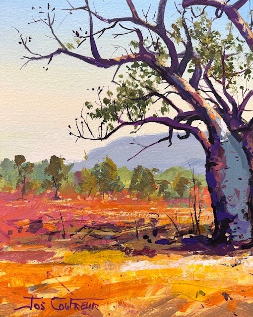 Boab Trees 49 - Original Art - Gold Coast Gallery Of ArtJos Coufreur
