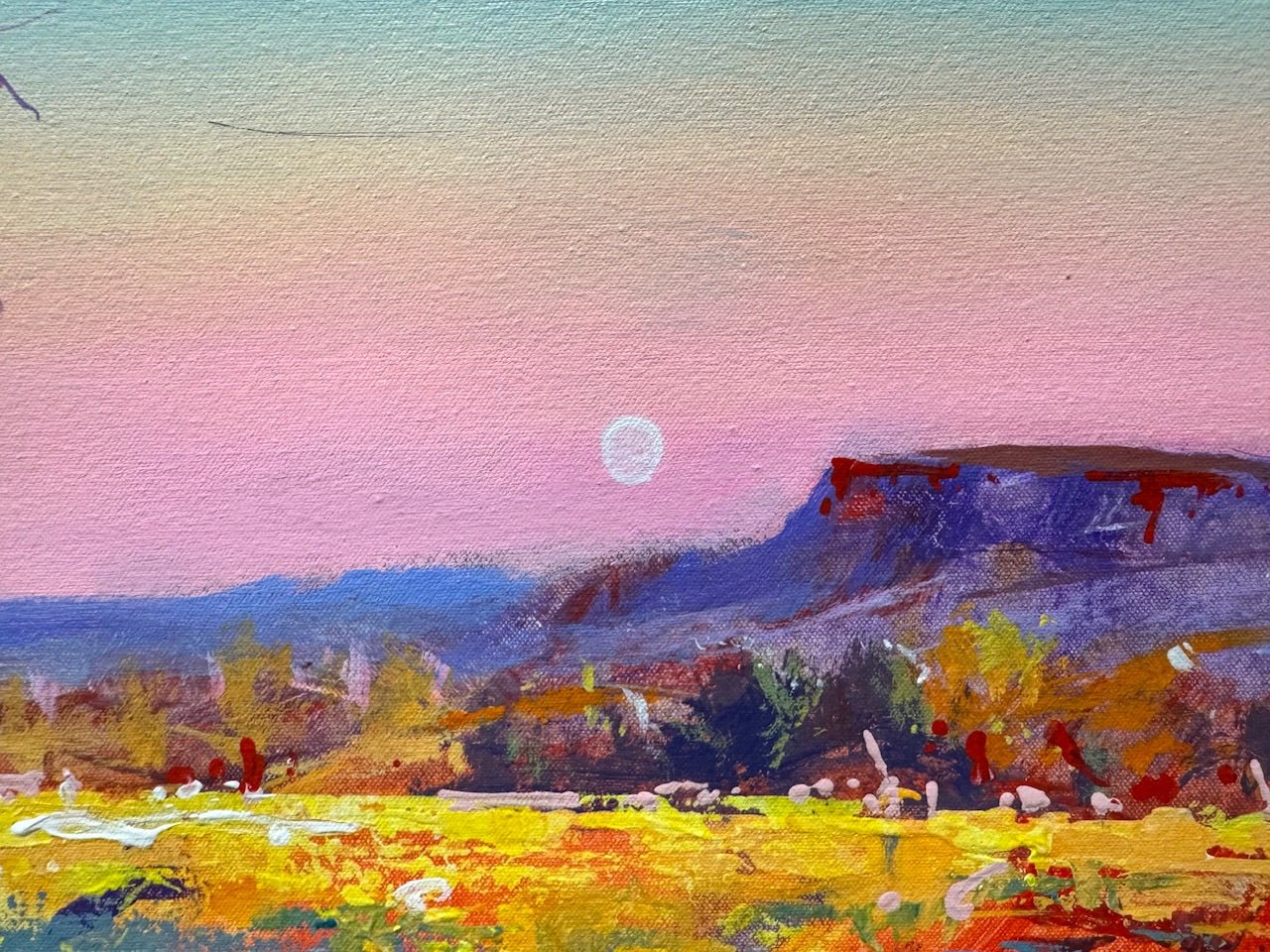 Cockburn Ranges 2 - Original Art - Gold Coast Gallery Of ArtJos Coufreur