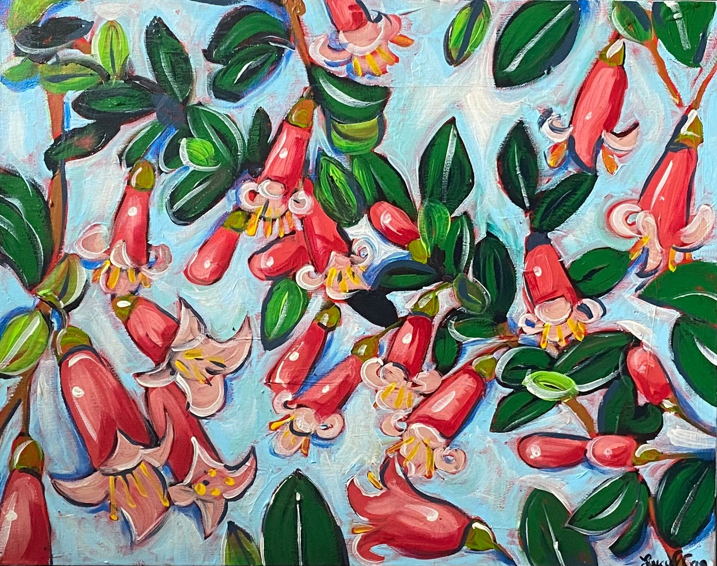 Correa Pulchella - Original Art - Gold Coast Gallery Of ArtLucy Car