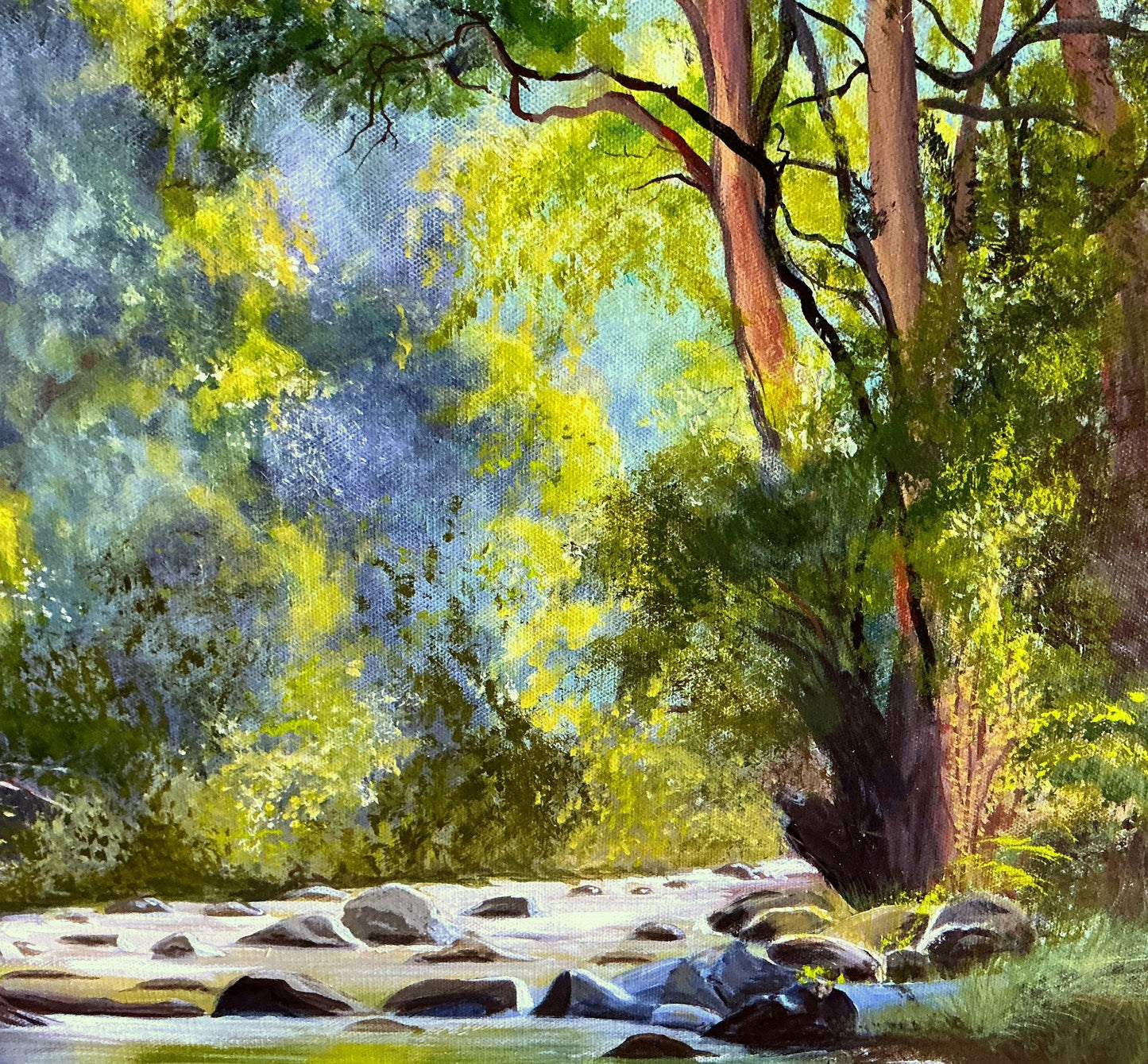 Cumberland River Victoria - Gold Coast Gallery Of ArtYvonne Wells