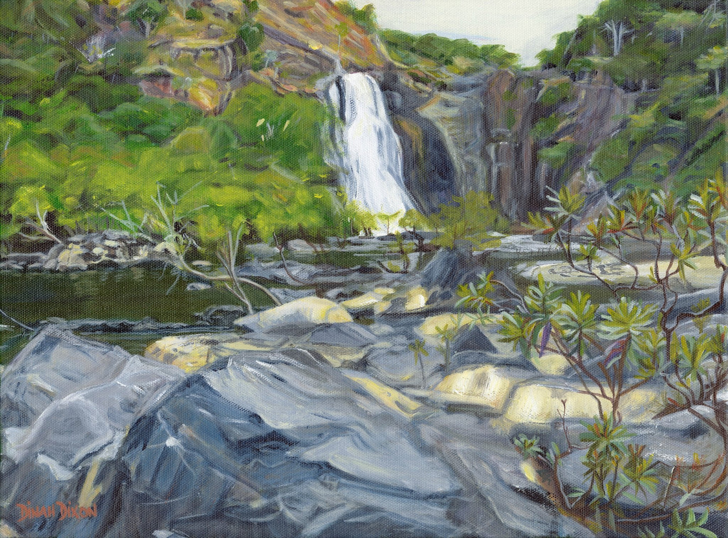Do Not Swim! | Bloomfield Falls - Original Art - Gold Coast Gallery Of ArtDinah Dixon