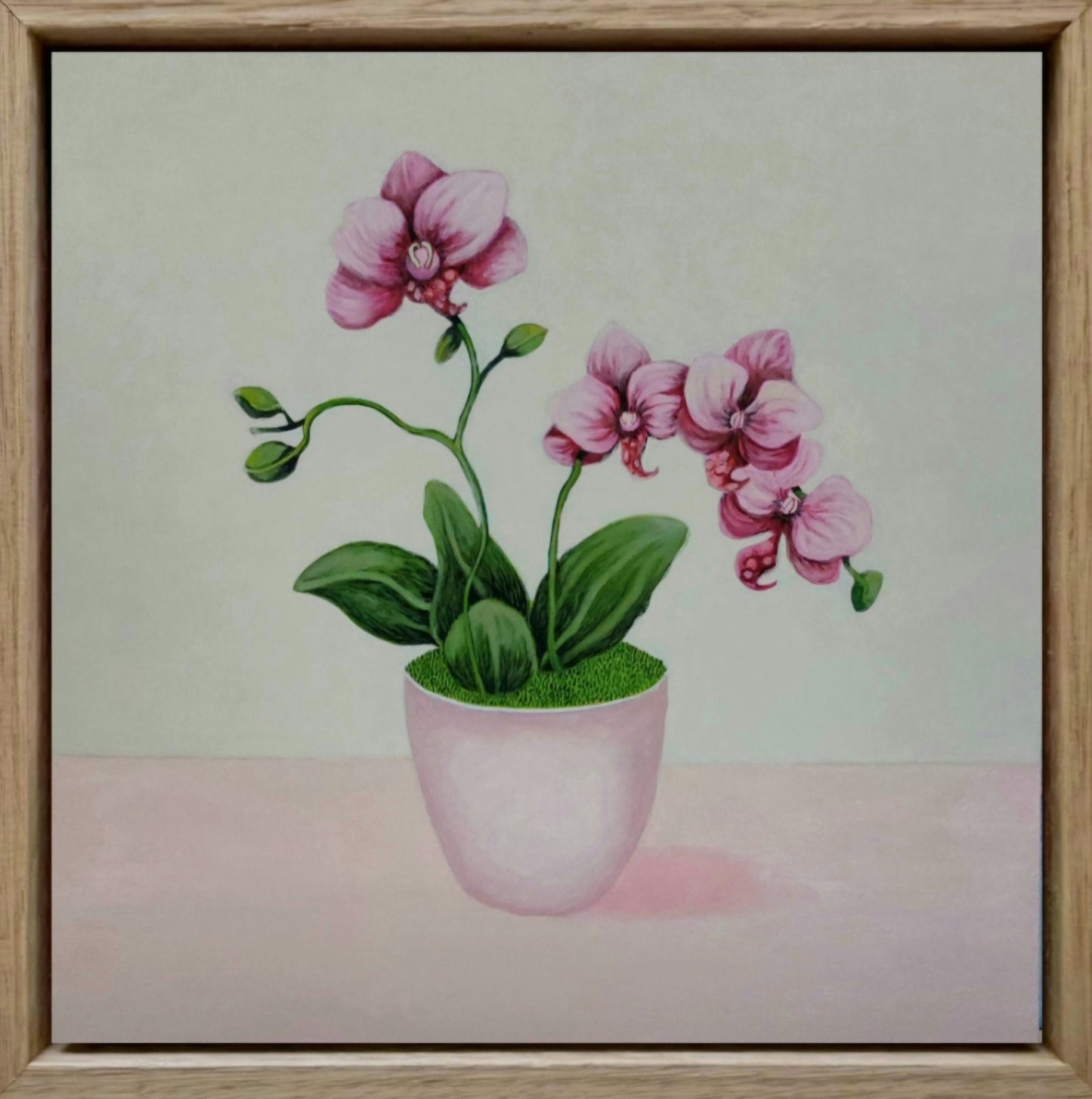 Eileen's Pink Orchid - Gold Coast Gallery Of ArtFiona Thorning
