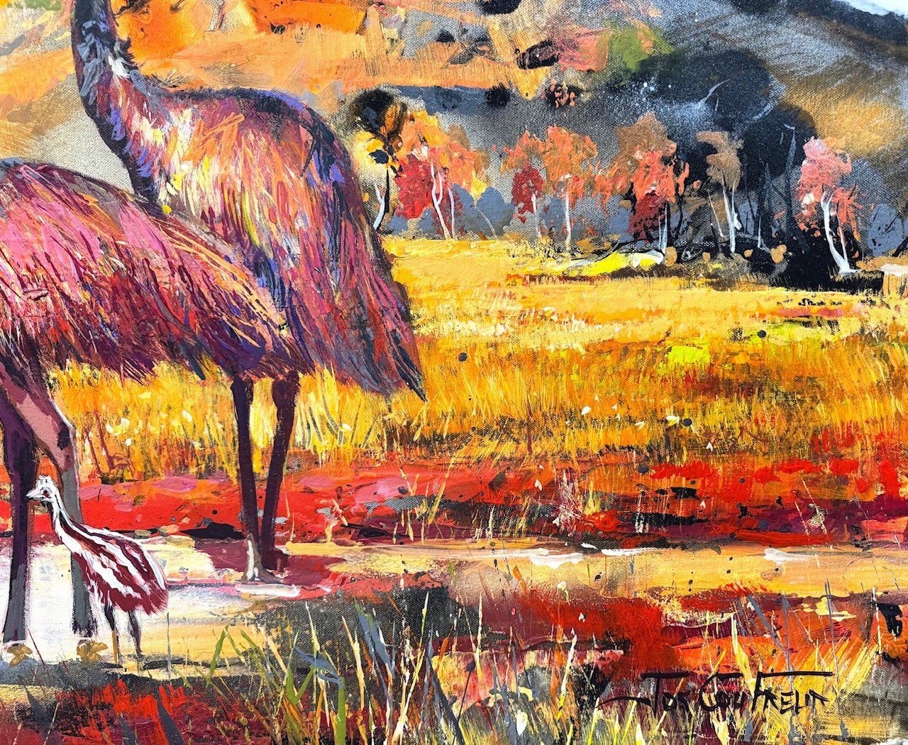 Emu Family in the Kimberley - Gold Coast Gallery Of ArtJos Coufreur