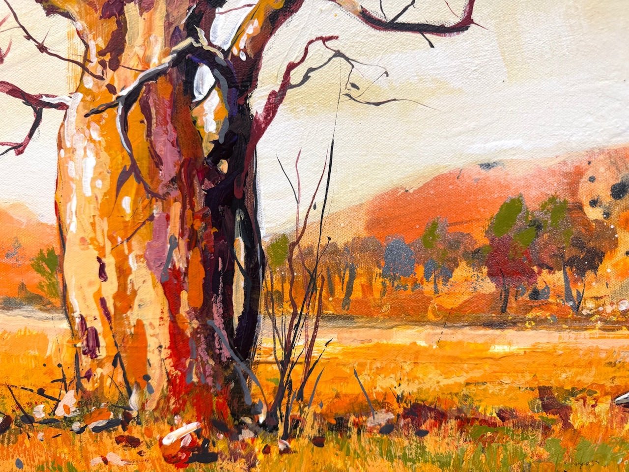 Emu Family in the Kimberley - Gold Coast Gallery Of ArtJos Coufreur