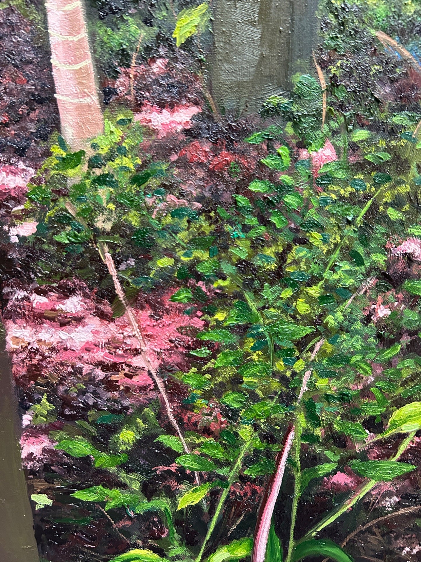 Finding Waterfall - Gold Coast Gallery Of ArtCoco Cashman