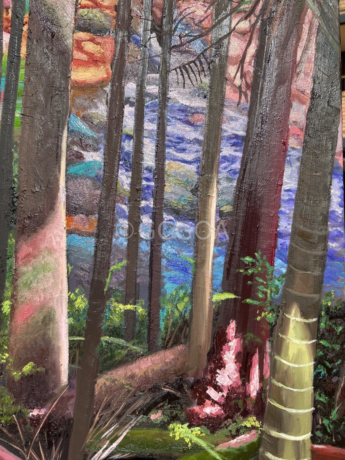 Finding Waterfall - Gold Coast Gallery Of ArtCoco Cashman