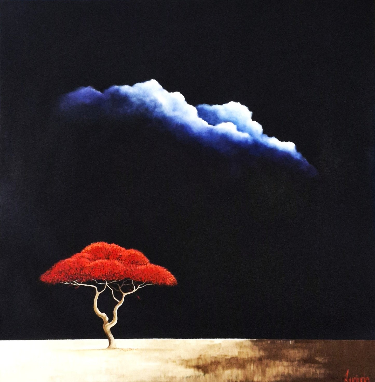 Flame Of The Savanna - Gold Coast Gallery Of ArtLucinda Leveille