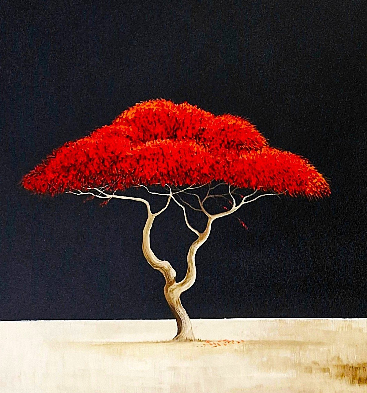 Flame Of The Savanna - Gold Coast Gallery Of ArtLucinda Leveille