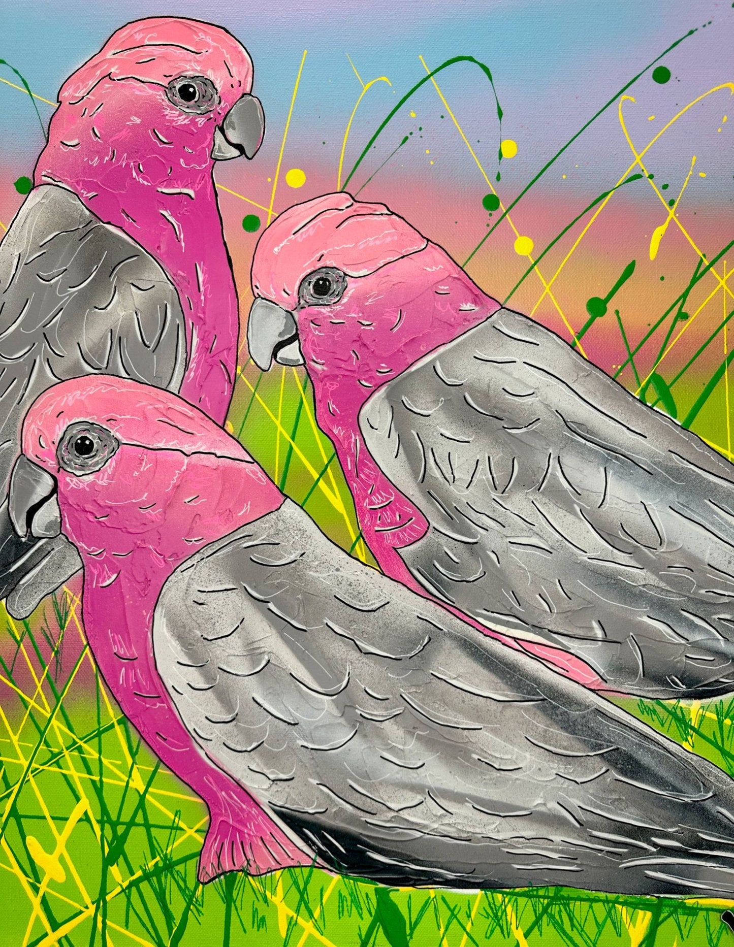 Galah Sunset - Gold Coast Gallery Of ArtDeborah Lang