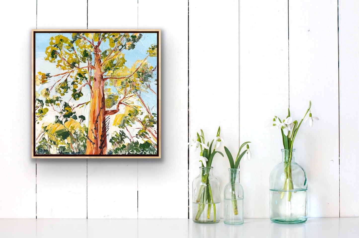 Gloucester Tree Pemberton WA - Gold Coast Gallery Of ArtHilly Coufreur