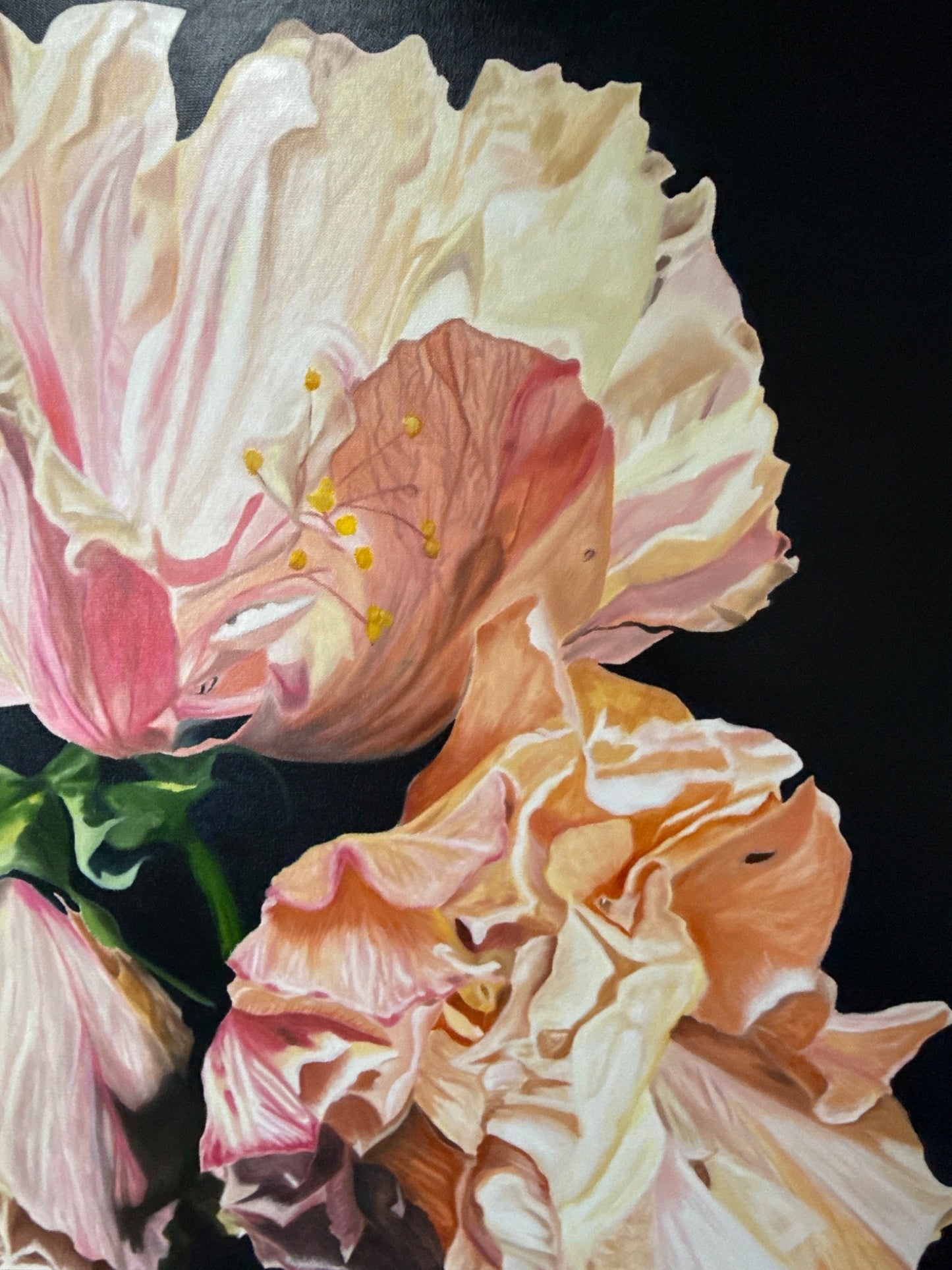 Grace in the fading light - Gold Coast Gallery Of ArtMonica Maleck