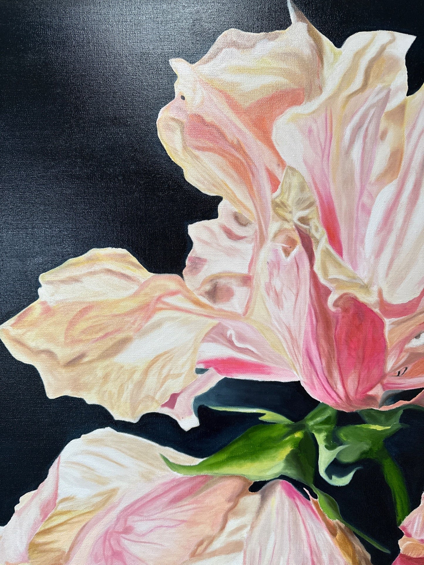 Grace in the fading light - Gold Coast Gallery Of ArtMonica Maleck