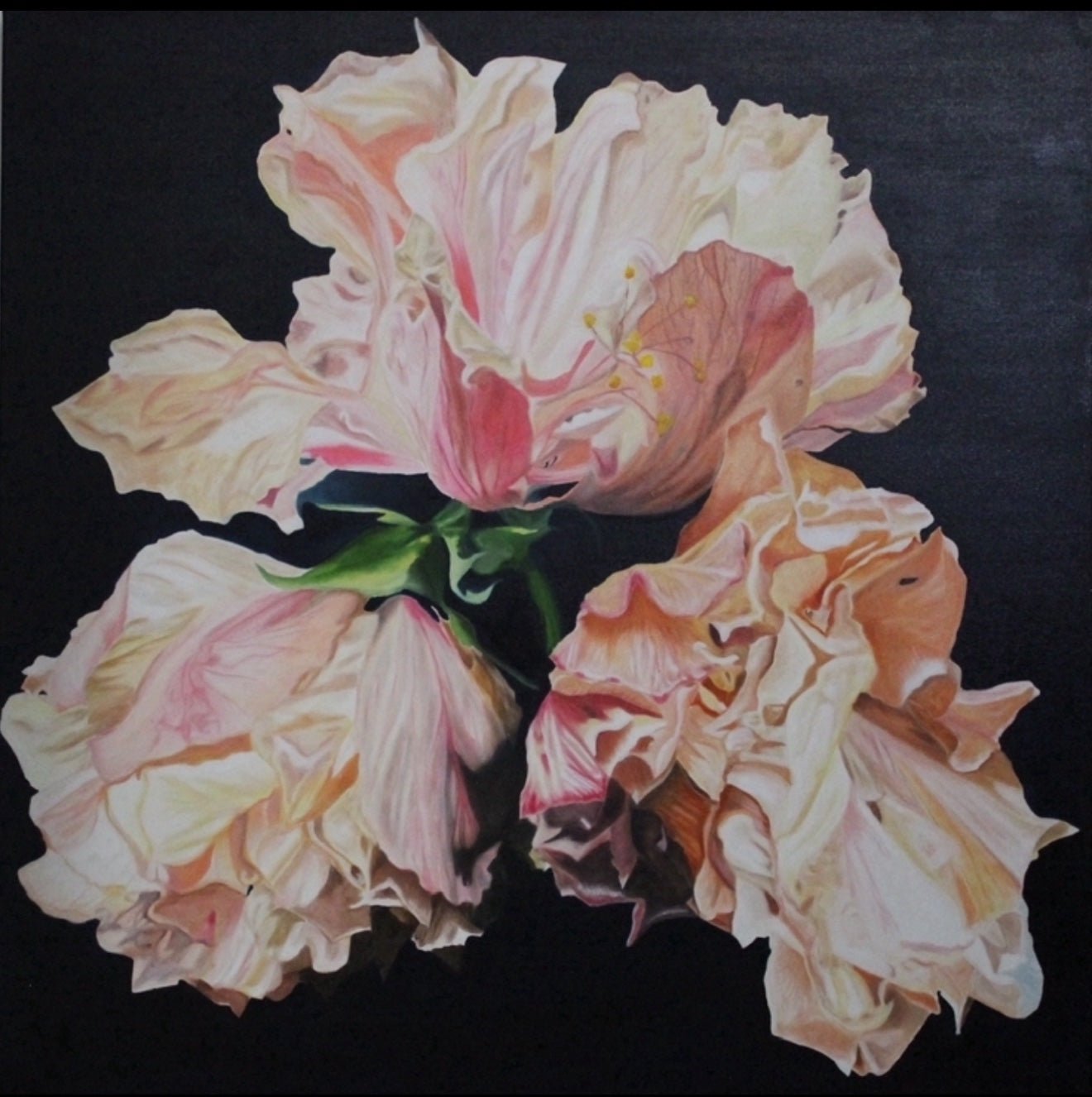Grace in the fading light - Gold Coast Gallery Of ArtMonica Maleck