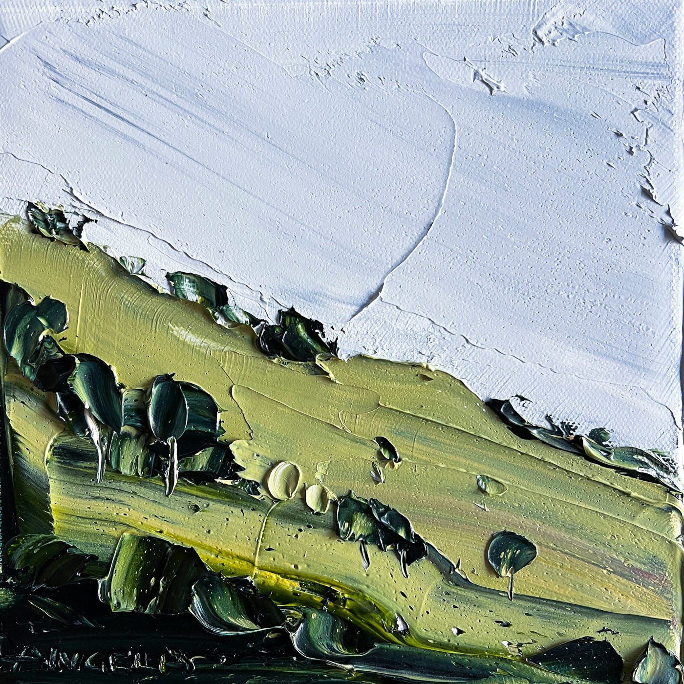 Green Slopes - Original Art - Gold Coast Gallery Of ArtAngela Hawkey