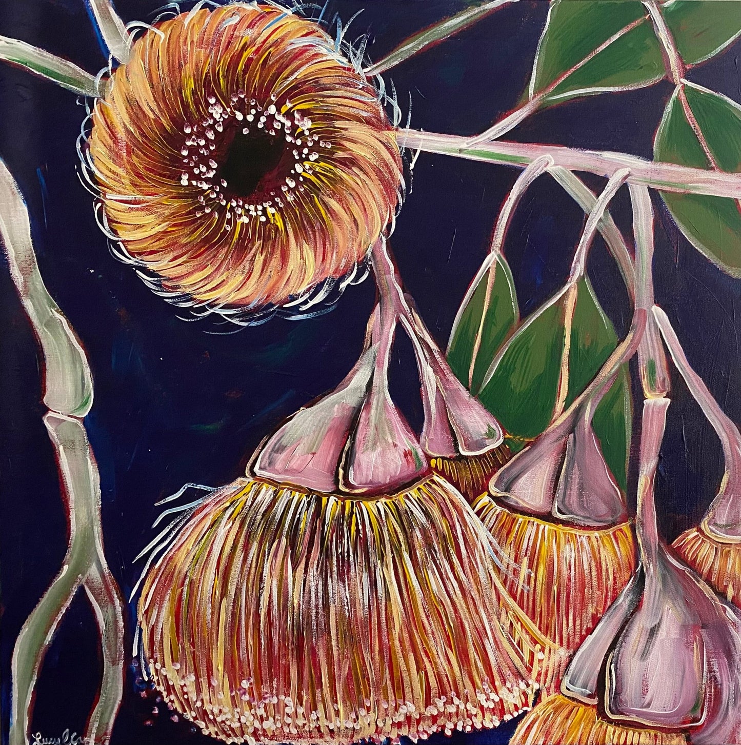Gum Flowers on Navy - Original Art - Gold Coast Gallery Of ArtLucy Car