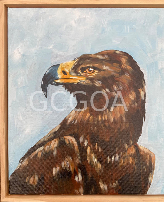 Harold the brown eagle - Gold Coast Gallery Of ArtMikayla
