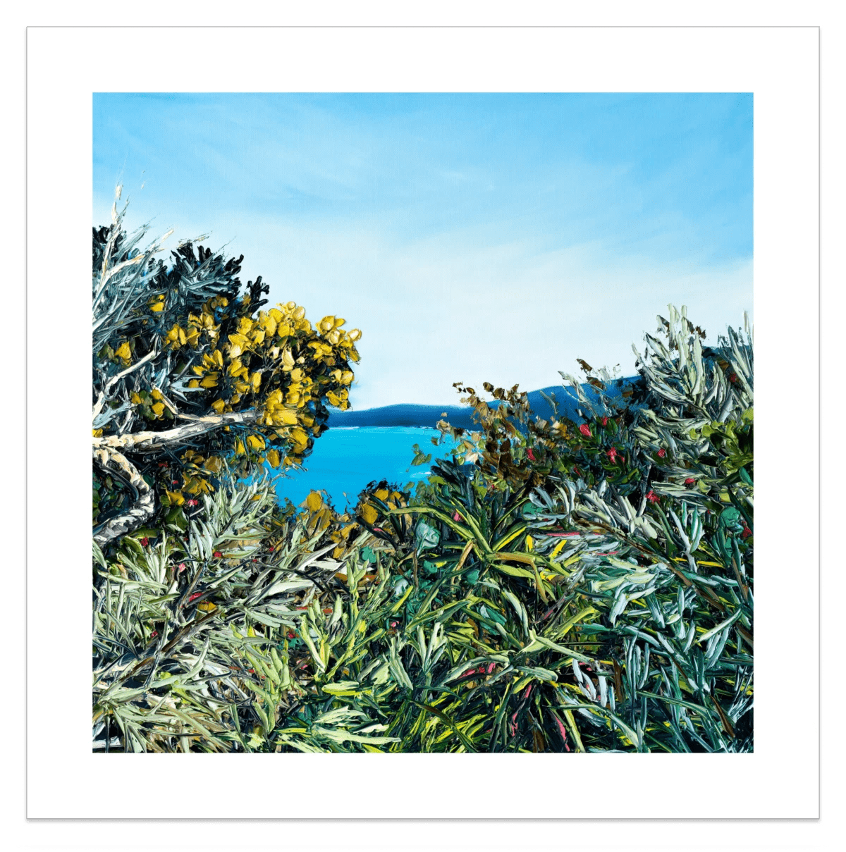 Hat Head Beach Walk - Fine Art Print - Gold Coast Gallery Of ArtAngela Hawkey