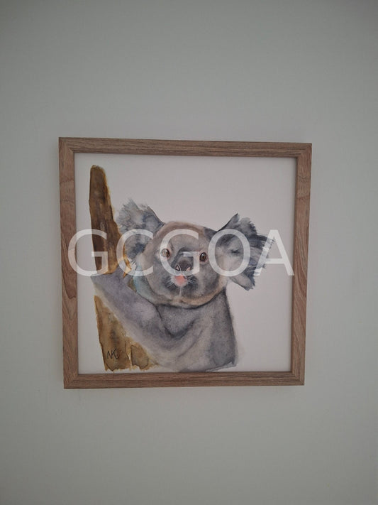 Koala - Gold Coast Gallery Of ArtNatalie K