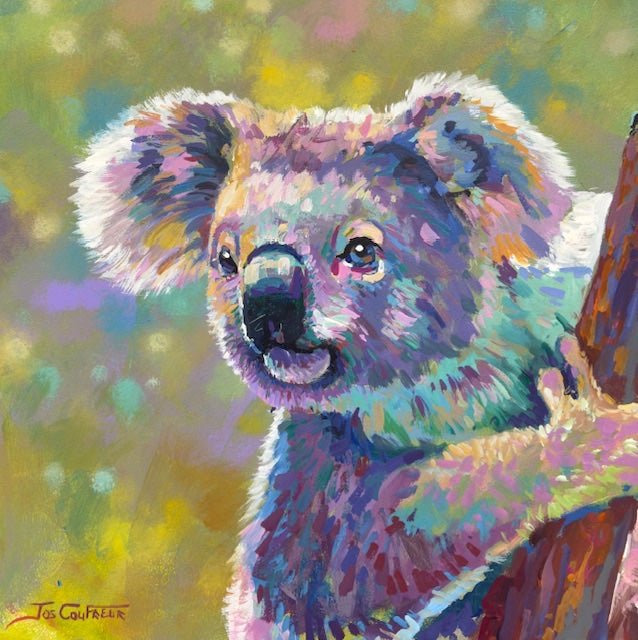 Koala 23 - Gold Coast Gallery Of ArtJos Coufreur