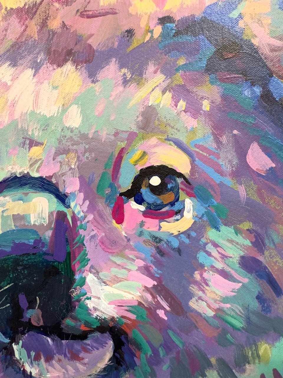 Koala 23 - Gold Coast Gallery Of ArtJos Coufreur