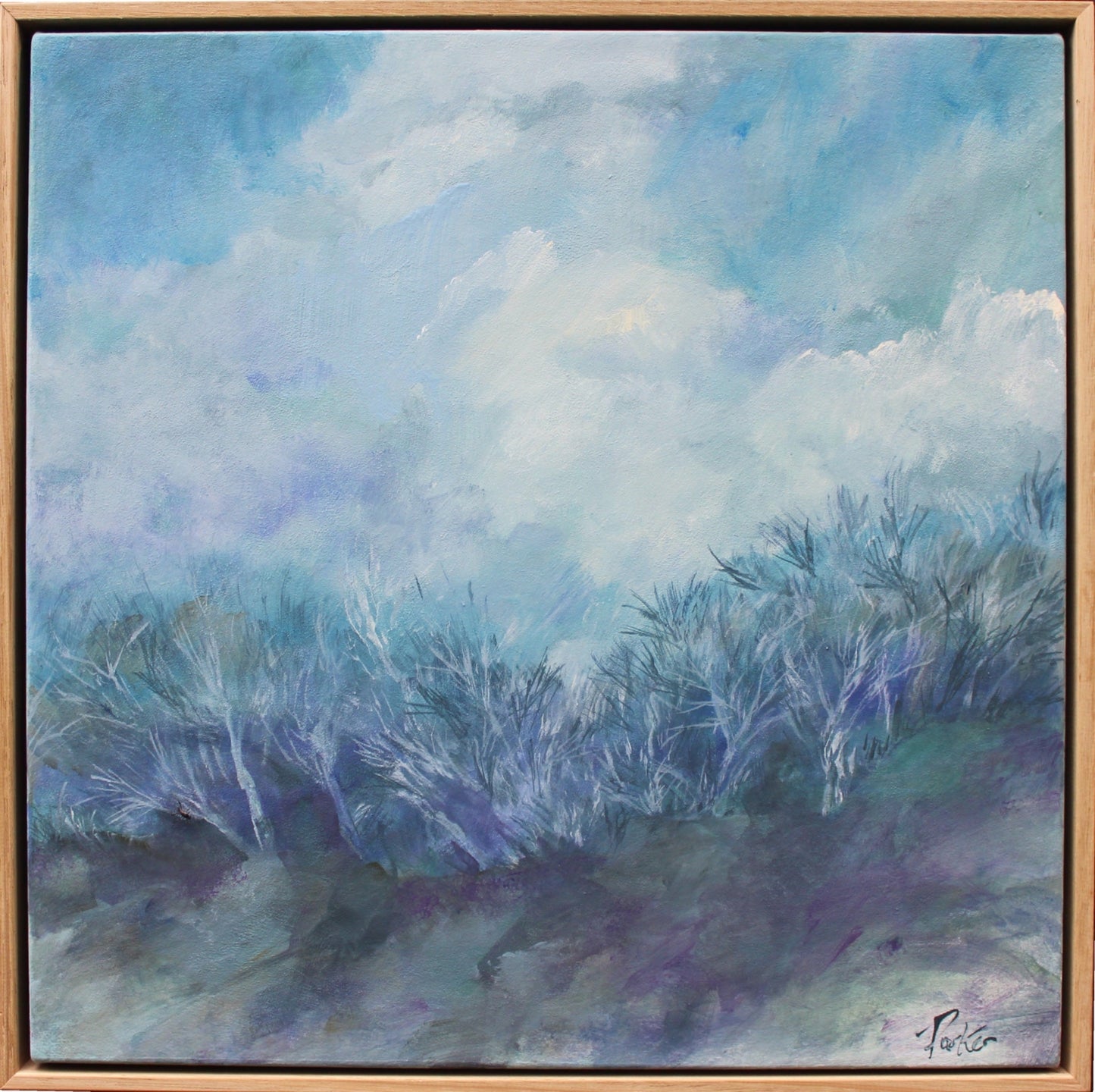 Kosciuszko Tree Line - Gold Coast Gallery Of ArtDeb Parker Artist