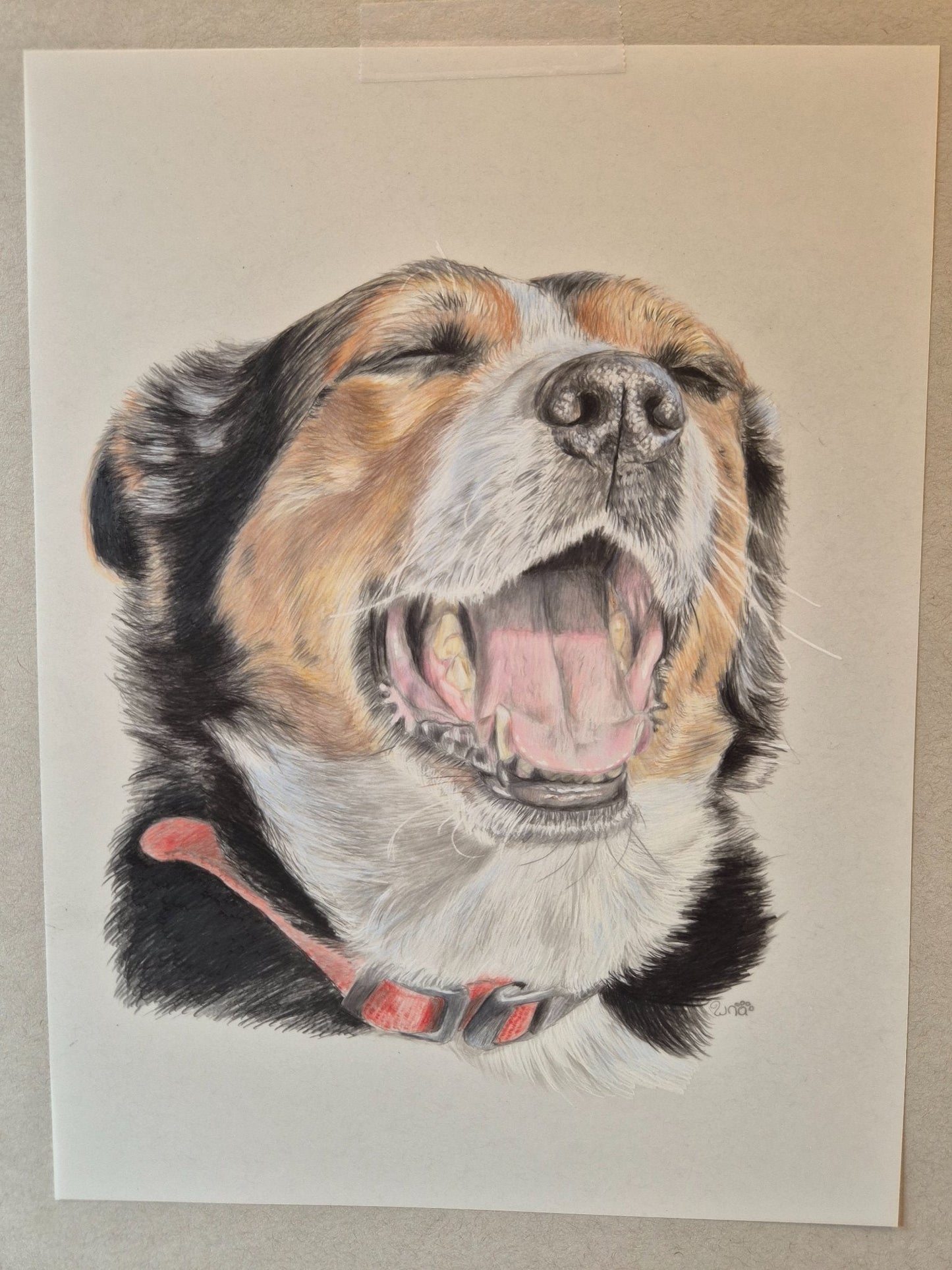 Life Is Good - Gold Coast Gallery Of ArtRenae Hall