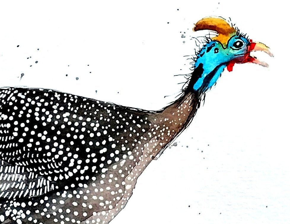 Liz and Lou - the guinea fowl affair ( set of two) - Gold Coast Gallery Of ArtYvonne Wells