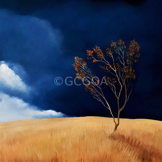 Lonely Country - Original Art - Gold Coast Gallery Of ArtLucinda Leveille