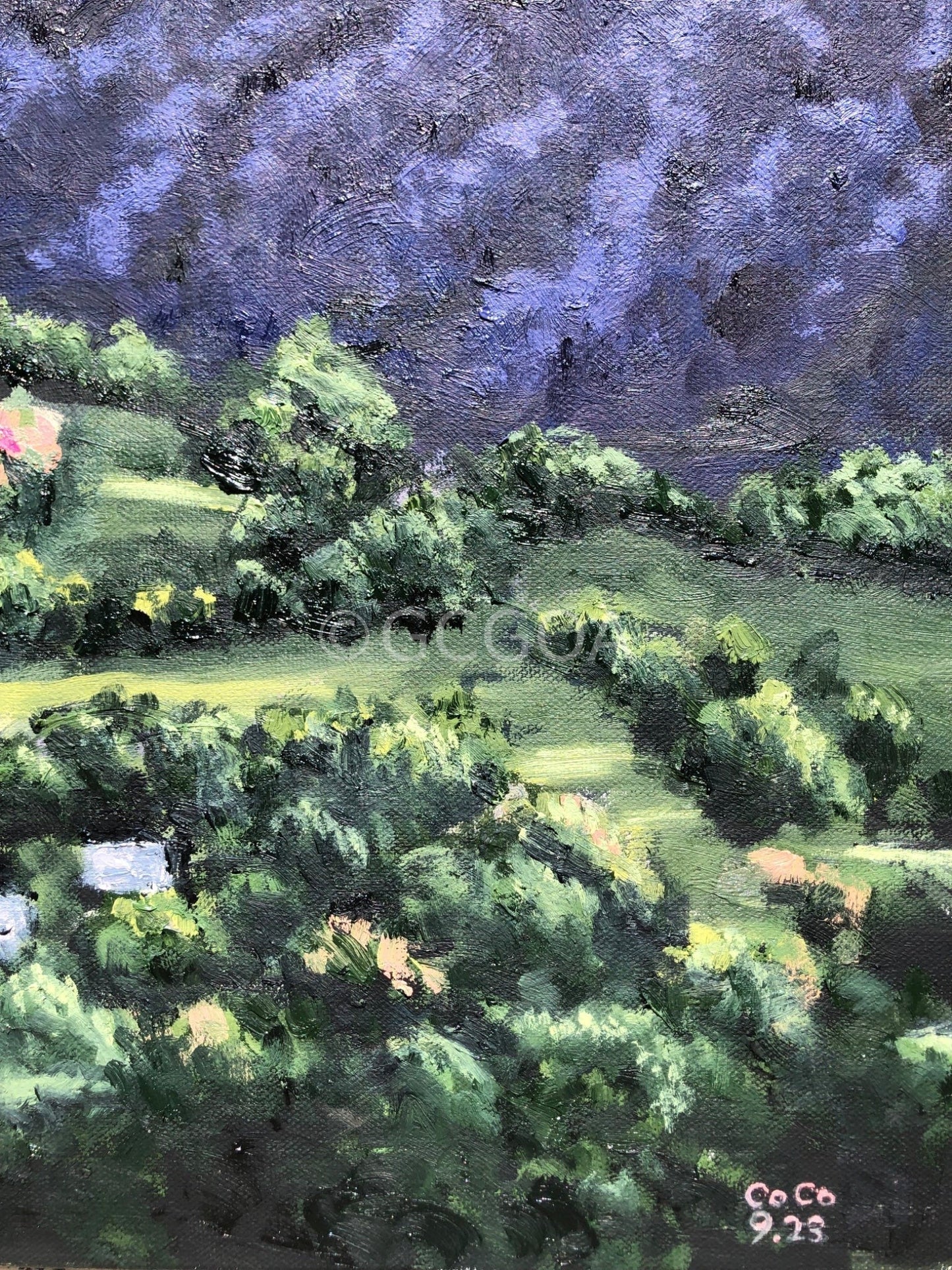 Montville Valley - Gold Coast Gallery Of ArtCoco Cashman