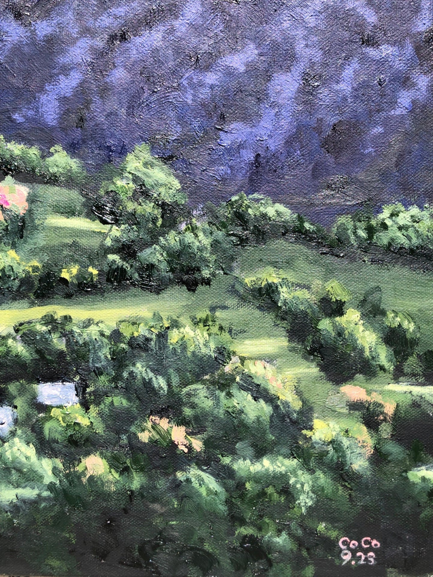 Montville Valley - Gold Coast Gallery Of ArtCoco Cashman