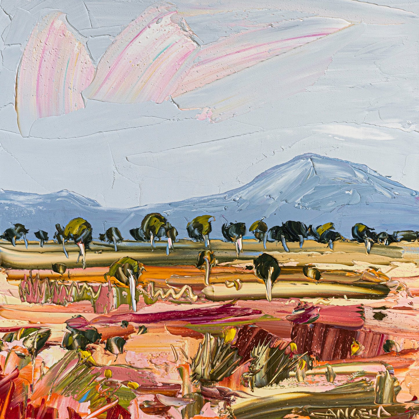 Outback Plains - Original Art - Gold Coast Gallery Of ArtAngela Hawkey