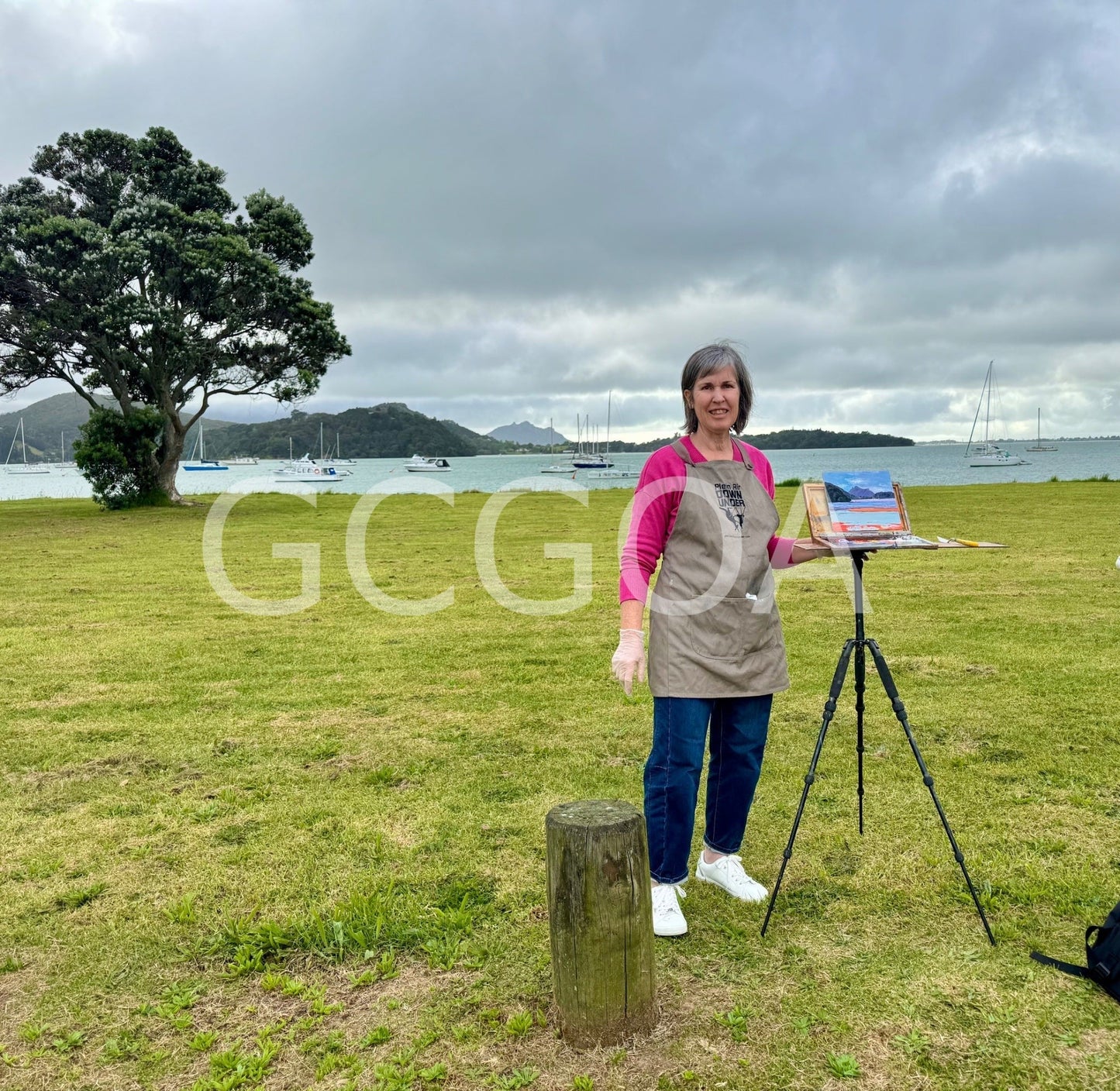 Parua Bay, New Zealand - Gold Coast Gallery Of ArtHilly Coufreur