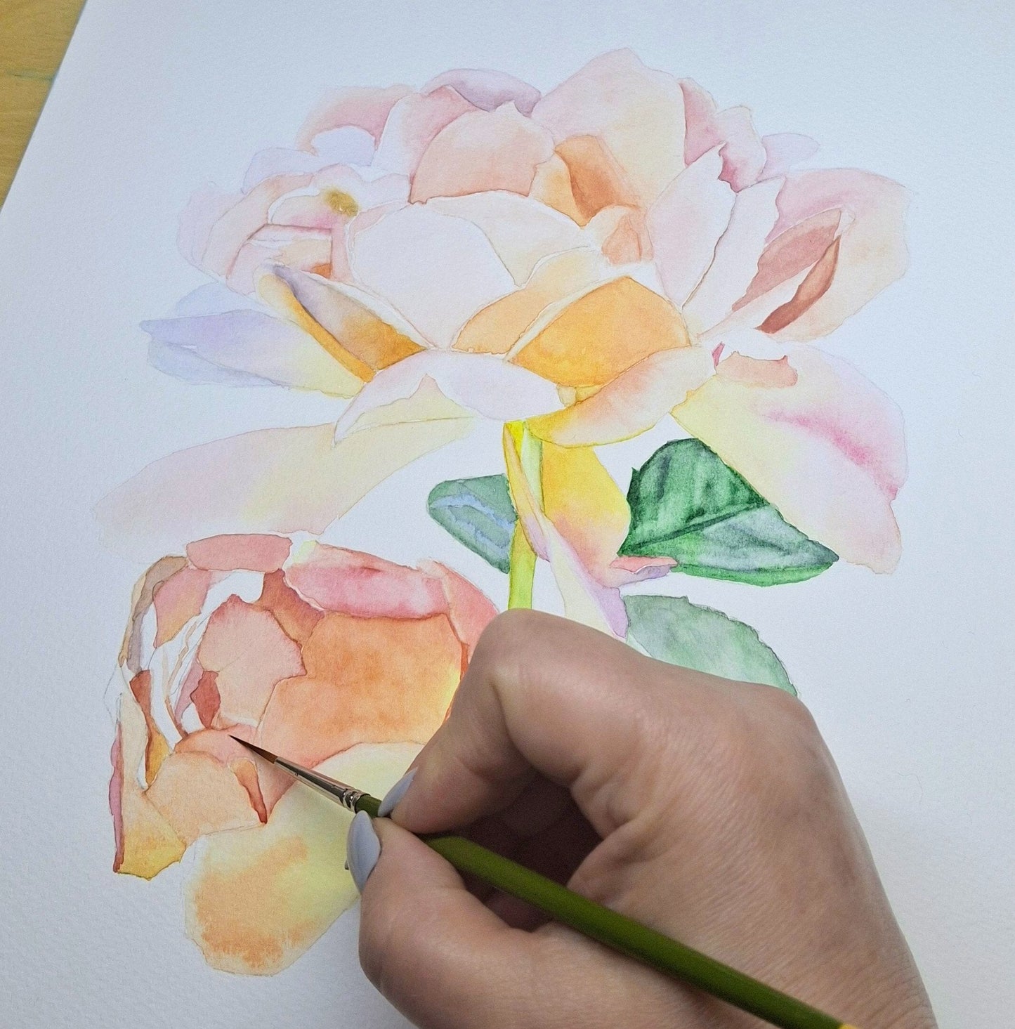 Peach Roses Framed Watercolour - Gold Coast Gallery Of ArtNatalie K