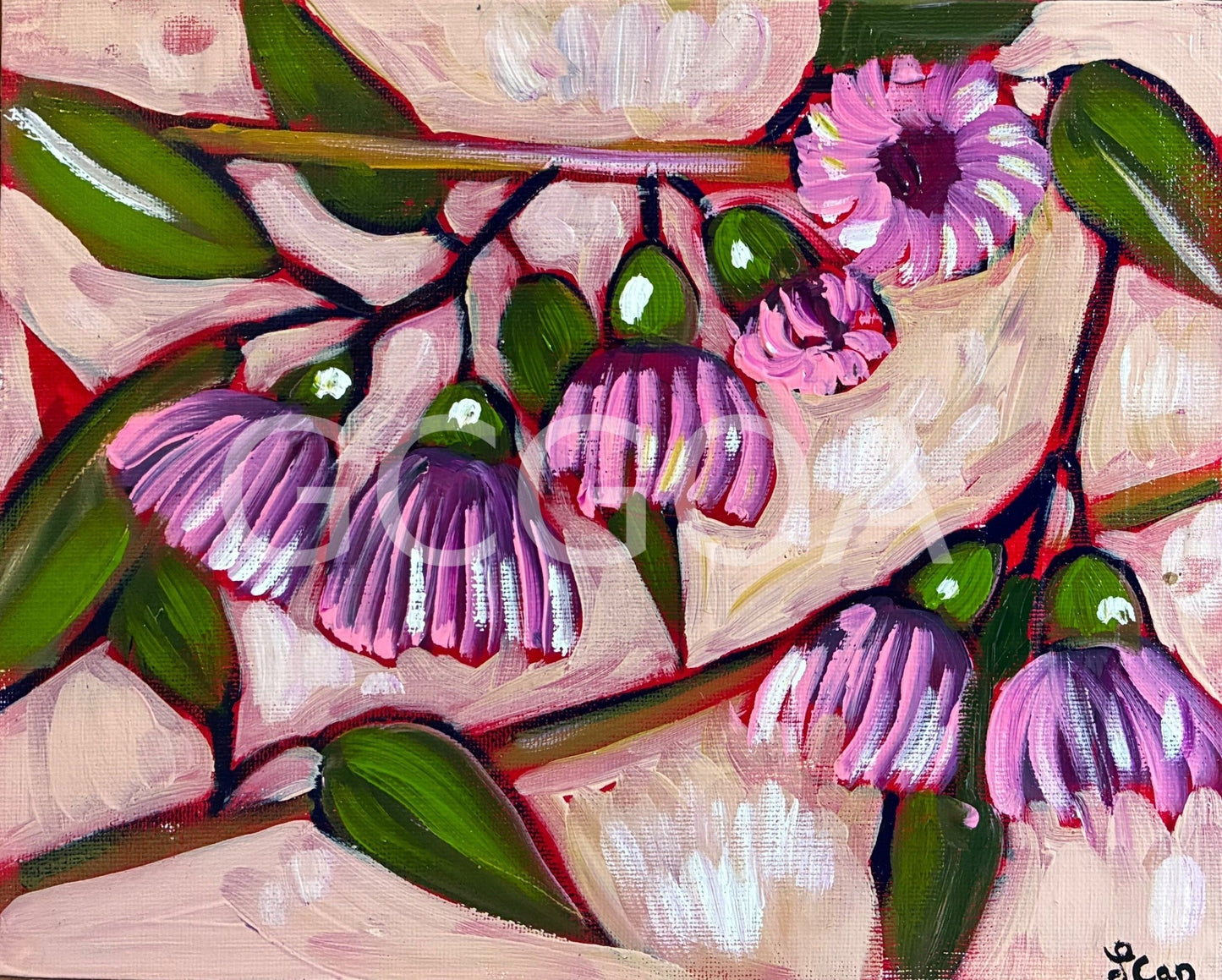 Pink Gum Flowers - Gold Coast Gallery Of ArtLucy Car
