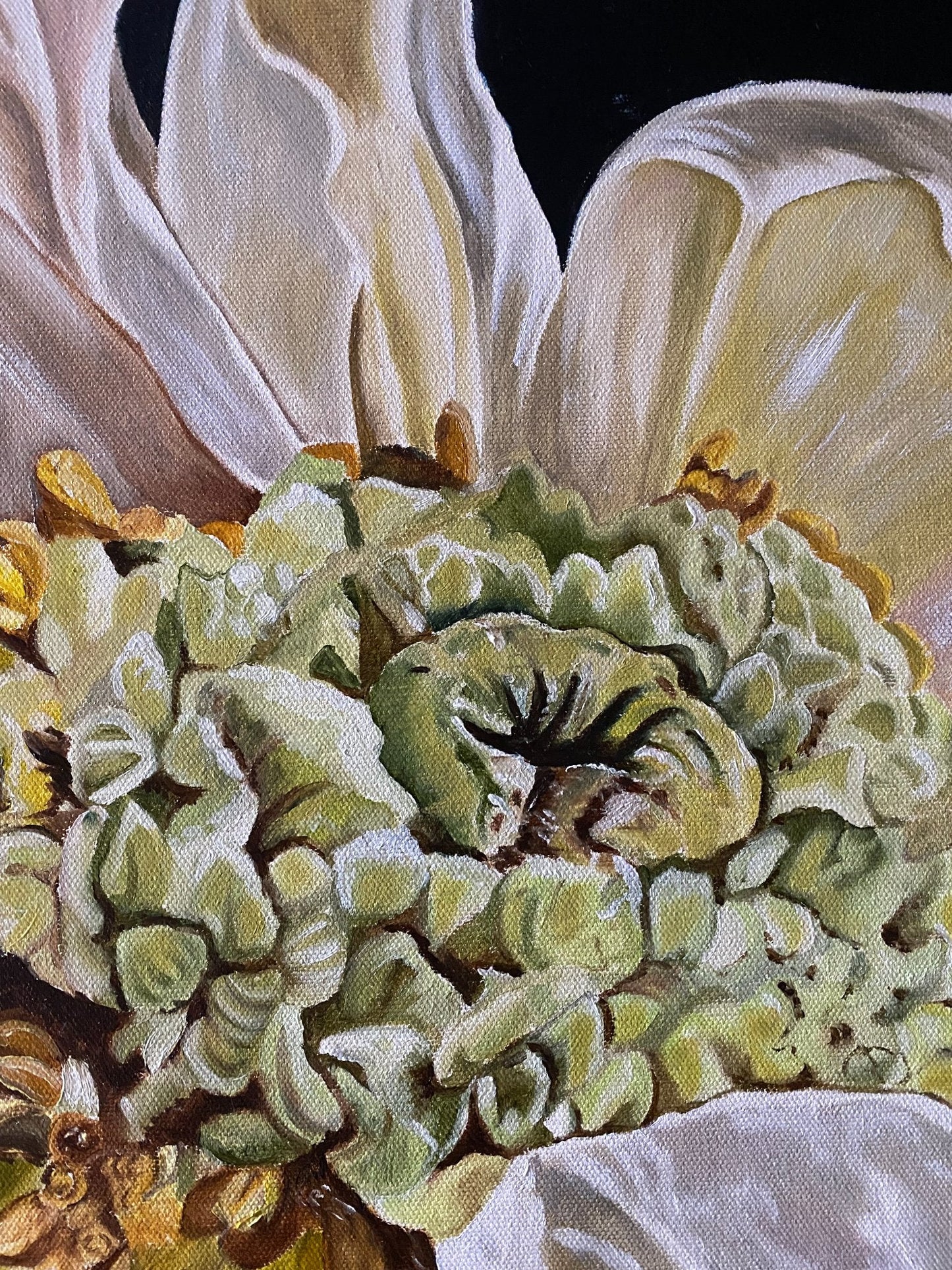 Poppies Heart - Original Art - Gold Coast Gallery Of ArtWendy Peters