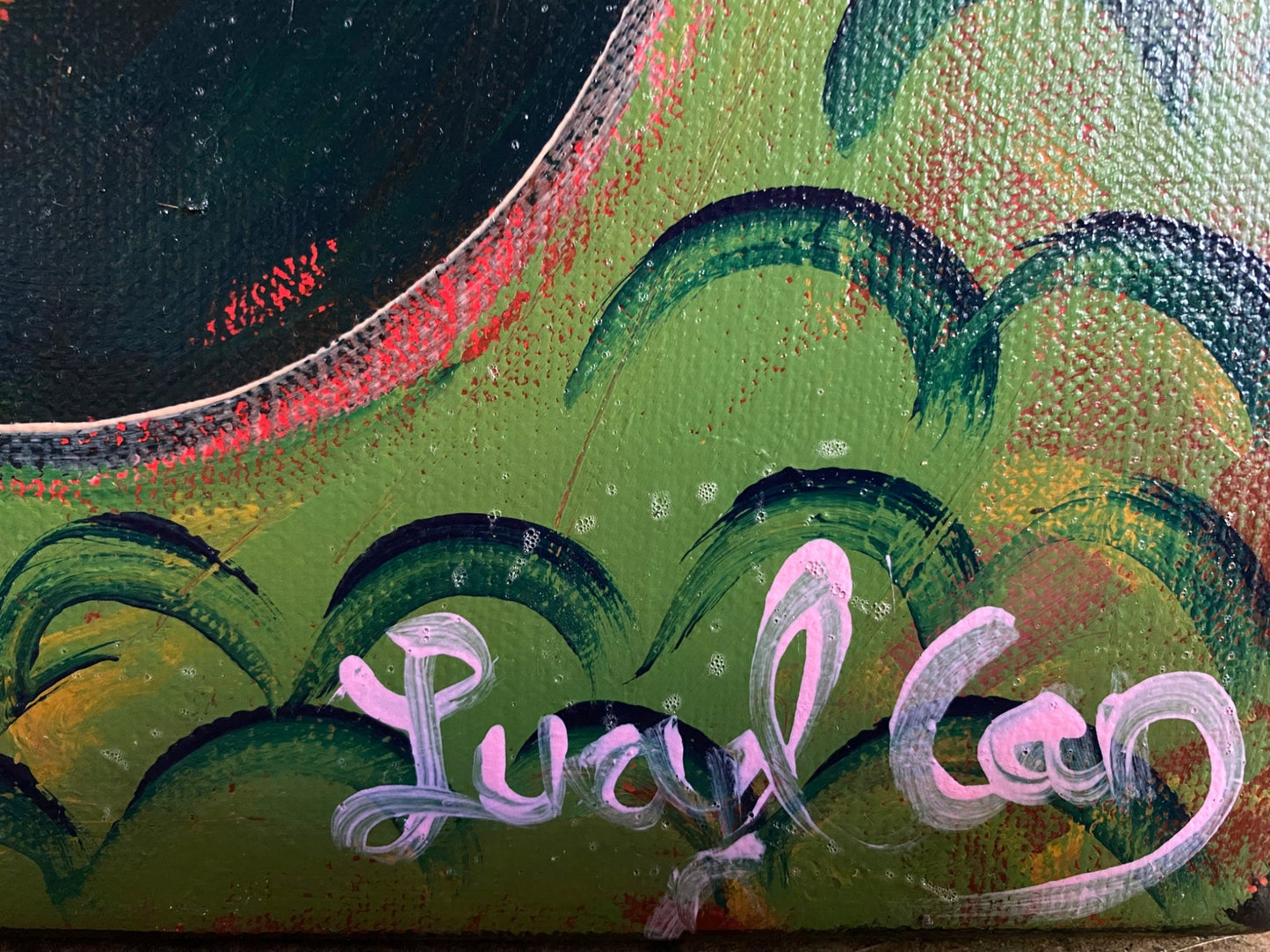 Rainbow Eucalyptus - Gold Coast Gallery Of ArtLucy Car
