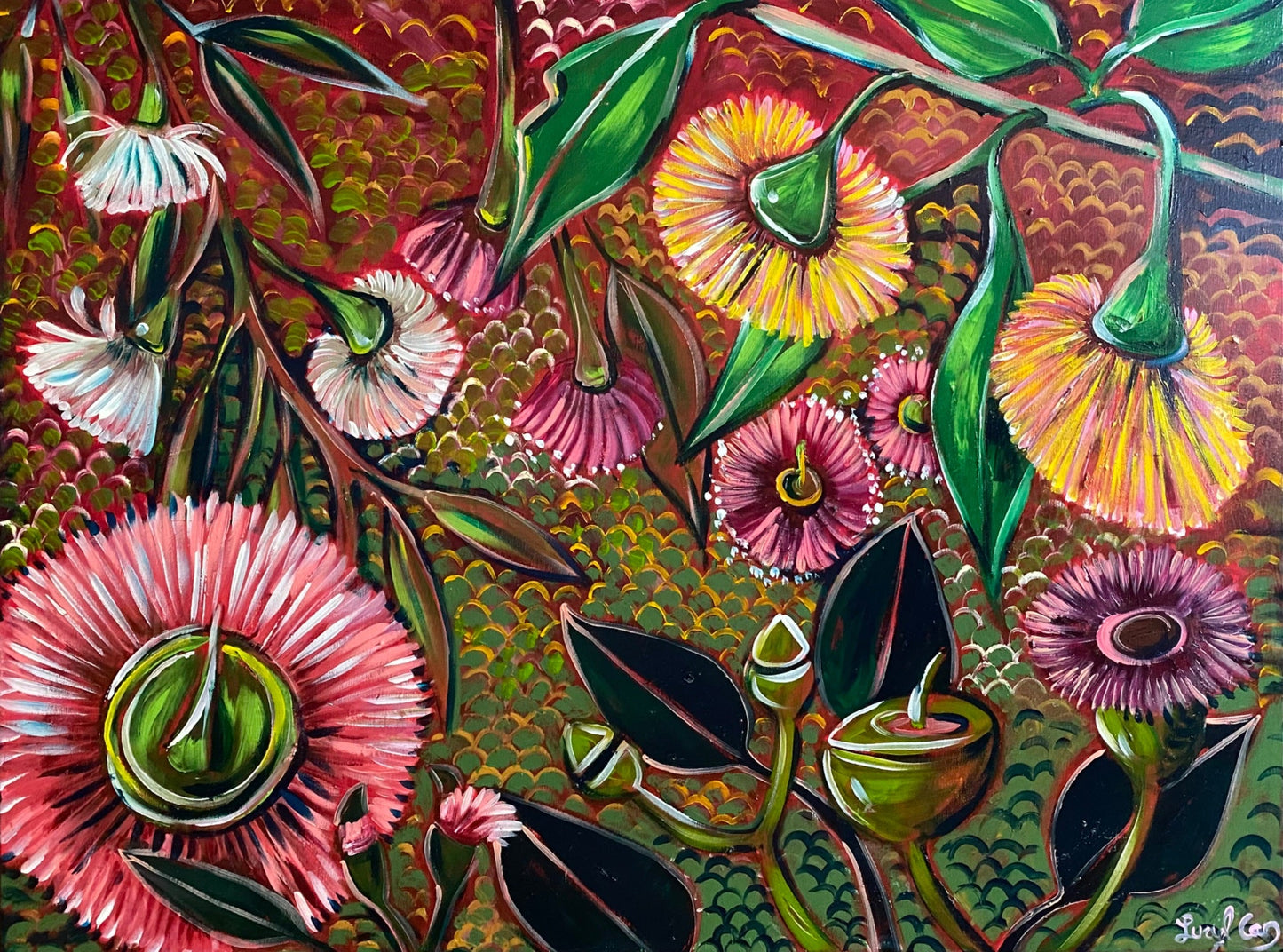 Rainbow Eucalyptus - Gold Coast Gallery Of ArtLucy Car
