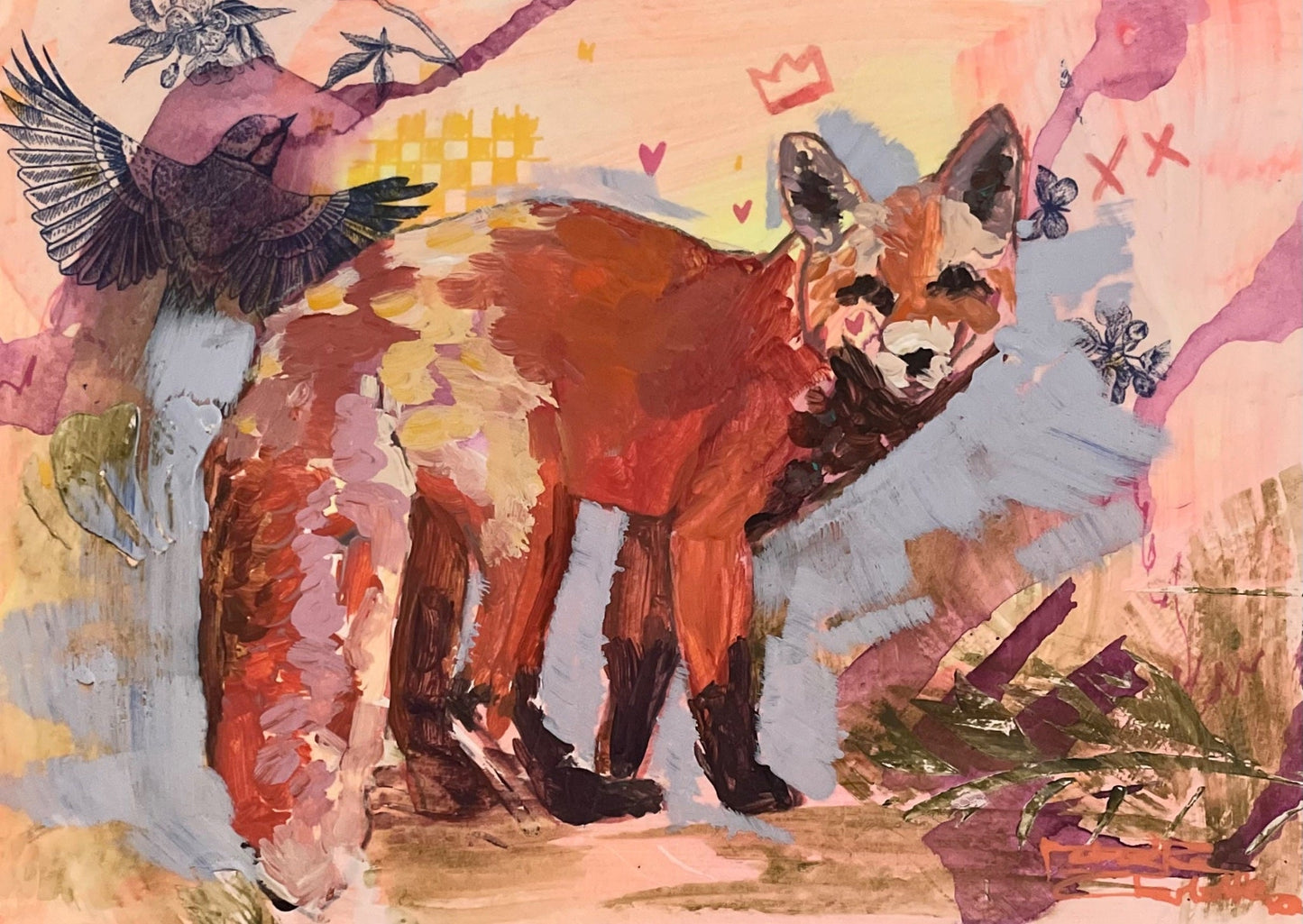 Red Fox - Artists Study - Gold Coast Gallery Of ArtNatasha Charlotte