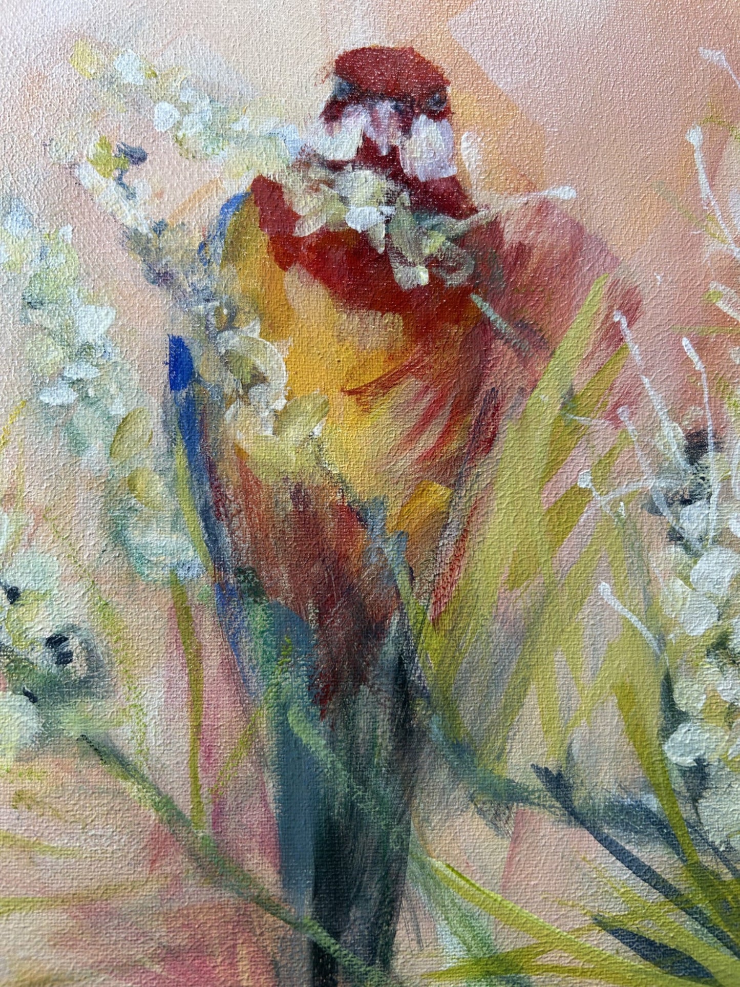 Rosellas and Grevillea - Gold Coast Gallery Of ArtDeb Parker Artist