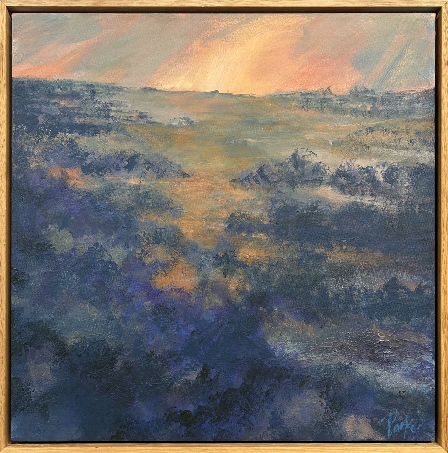 Salt Bush Country Evening - Gold Coast Gallery Of ArtDeb Parker Artist
