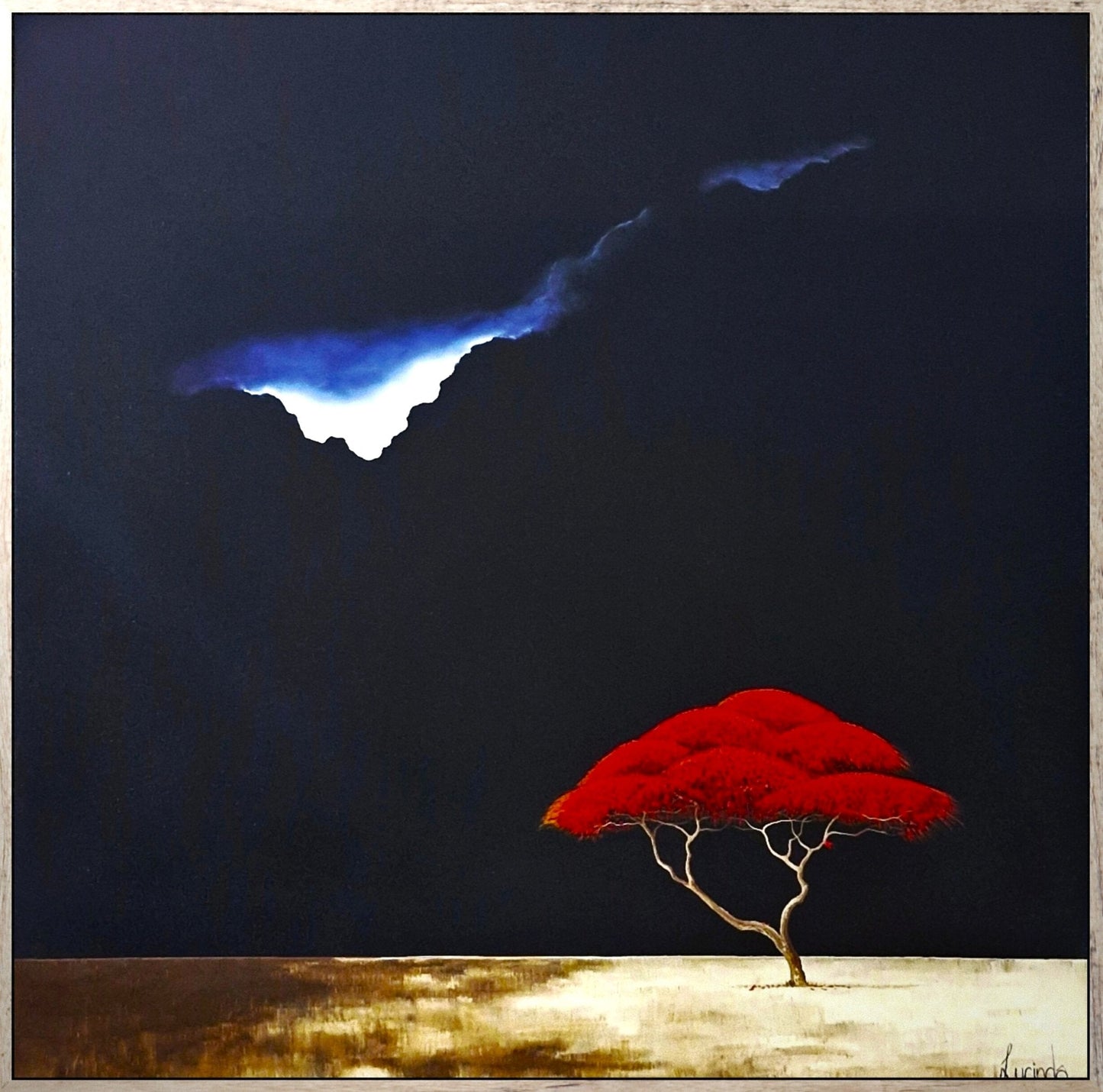 Savanna Nights - Gold Coast Gallery Of ArtLucinda Leveille